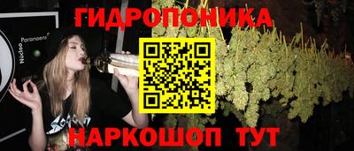 соль курить ск Кингисепп